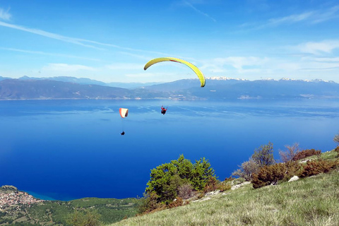 Ohrid: Esperienza di parapendio con servizio di prelievo