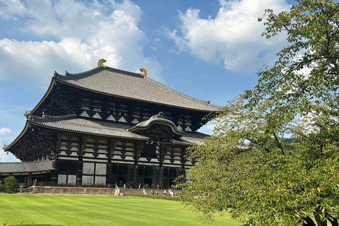 Nara: tour con ciervos, el Gran Buda y demostración de mochi