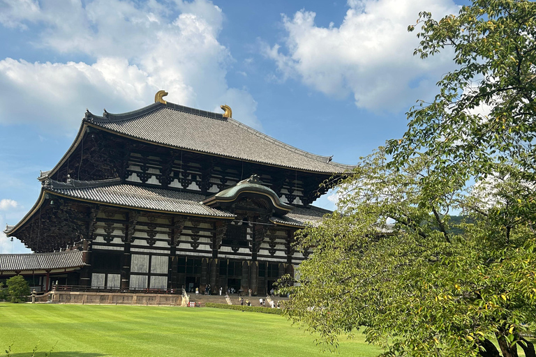 Nara: tour con ciervos, el Gran Buda y demostración de mochi