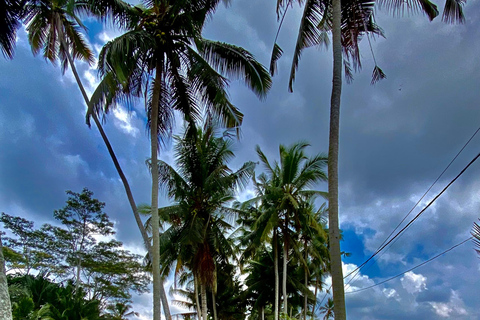 Ubud rice terrace, waterfall, and temple guided trip Bali