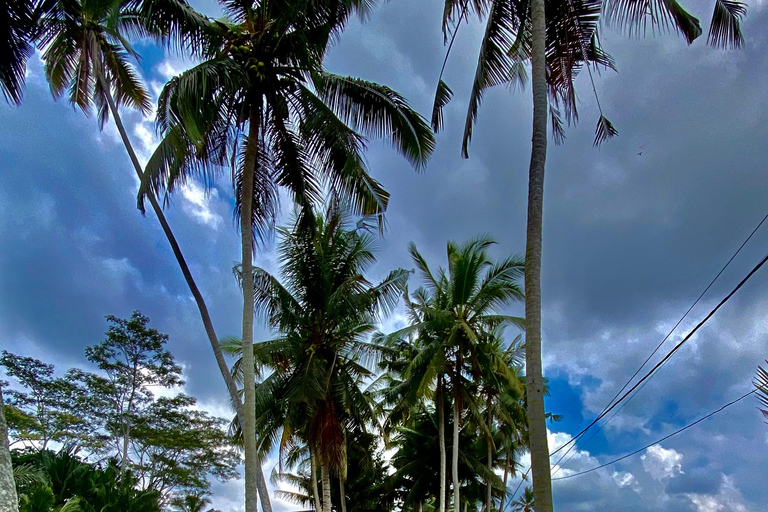 Ubud rice terrace, waterfall, and temple guided trip Bali