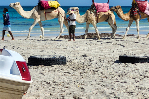 Djerba: 30-minute Express Camel Ride - Ideal for Children