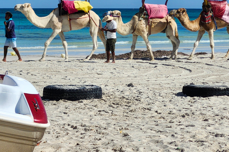 Djerba: 30-minute Express Camel Ride - Ideal for Children