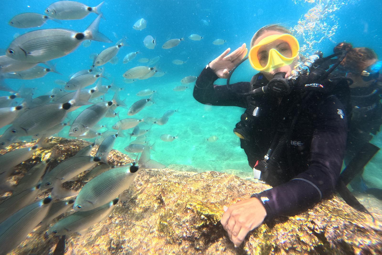 Antalya: Waterfall Diving & Snorkeling with Lunch & Transfer