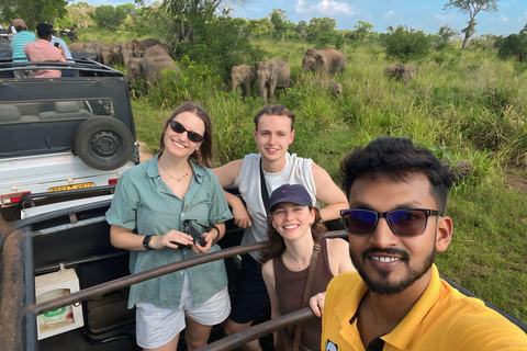 Sigiriya: Minneriya National Park Shared Safari with Pickup