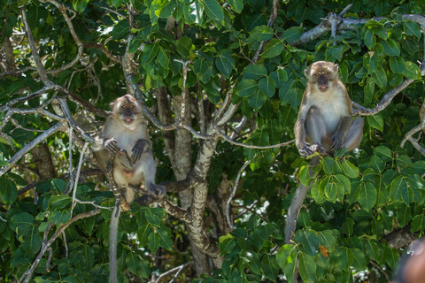 Khaolak: Early Bird till Phi Phi Island &amp; Maya Bay med lunch8:00 Morgonrundtur