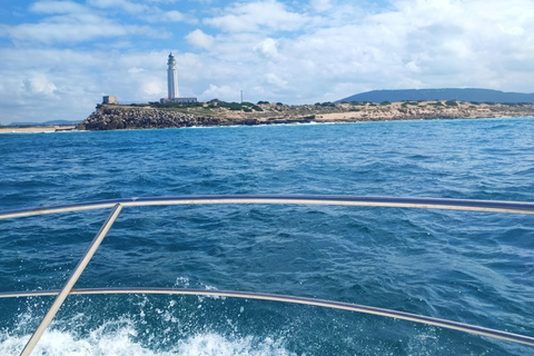 Private Boat Experience to Zahara and Trafalgar (6 hours) with Snorkeling and Appetizers Private Boat Experience to Zahara and Trafalgar (6 hours): Snorkeling and Aperitif