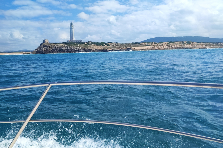 Private Boat Experience to Zahara and Trafalgar (6 hours) with Snorkeling and Appetizers Private Boat Experience to Zahara and Trafalgar (6 hours): Snorkeling and Aperitif