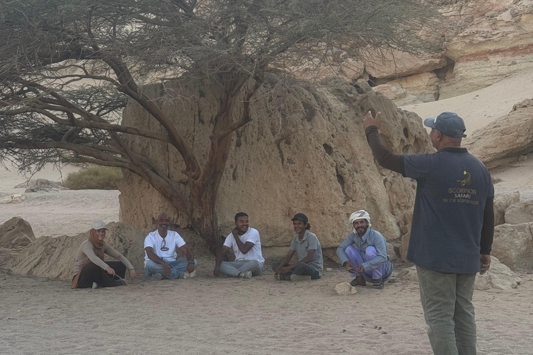 ( Canyon Hurghada &amp; Sternguckerei )( Canyon &amp; Sternenguckerei )