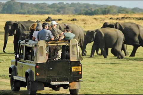 Colombo / Negombo - Yala Day Tour & Sightseeing Galle Fort