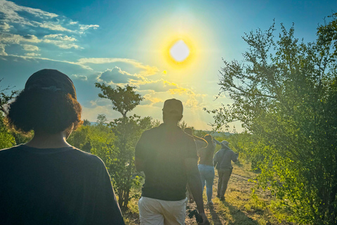 Cataratas Vitória: Caminhada de caça no Parque Nacional do ZambezeCaminhada de caça à tarde