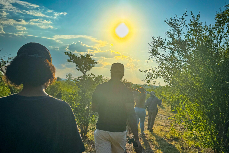 Cataratas Vitória: Caminhada de caça no Parque Nacional do ZambezeCaminhada de caça à tarde