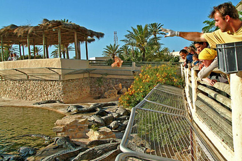 Djerba: Visit to the park and crocodile farm with transportation included