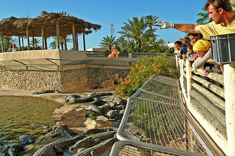Djerba: Visit to the park and crocodile farm with transportation included