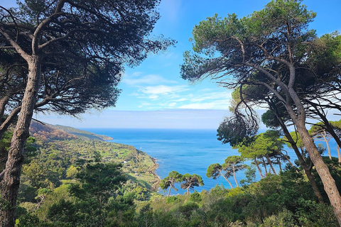 Tangier Day Trip from Rabat with Free Camel Ride