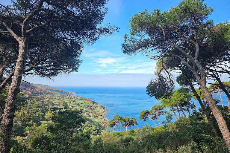 Tangier Day Trip from Rabat with Free Camel Ride