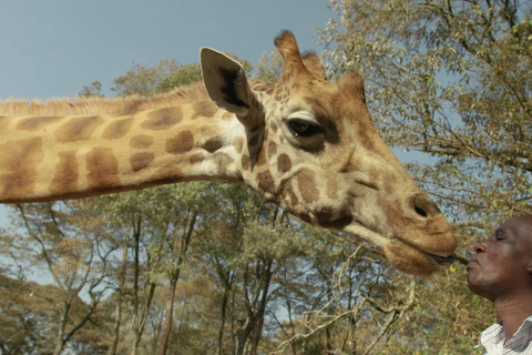 From Nairobi: Kazuri beads, Baby Elephant and Giraffe Centre