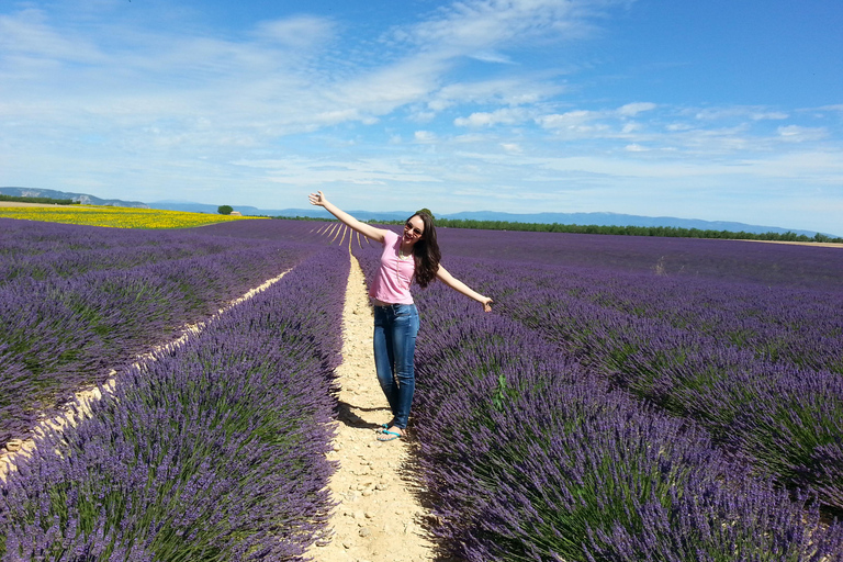 Lavender day trip to Valensole with a distillery visit day trip to Valensole in the lavender fields with a visit to a distillery