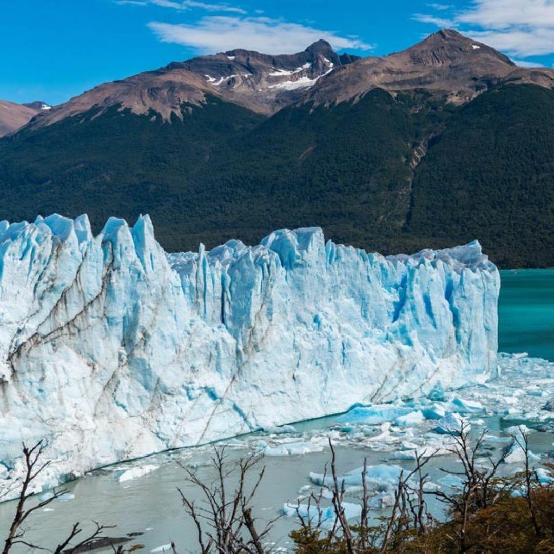 Galería de fotos para redes