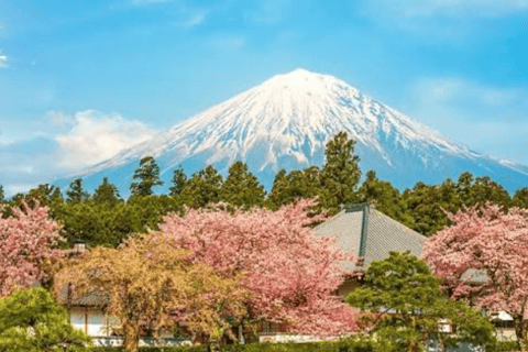 From Tokyo: Mount Fuji Private Tour With English Guide Mount Fuji & Hakone Tour