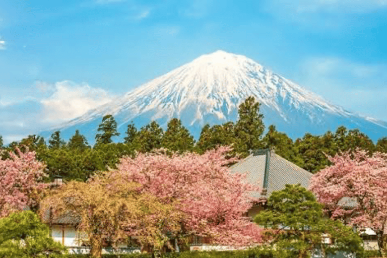 From Tokyo: Mount Fuji Private Tour With English Guide Mount Fuji & Hakone Tour