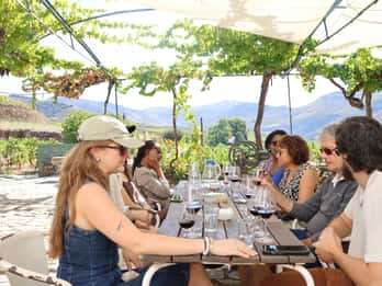 Porto: Excursão de meio dia ao Vale do Douro
