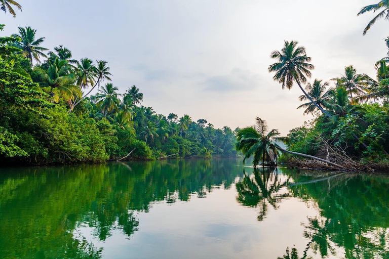 5-Day Kerala Highlights Tour with Overnight Houseboat Stay 3 Star Hotel Accommodation