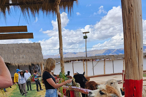 Cusco: Tour to the Alpaca and Llama Farm with weaving tour Cusco: Tour to the Alpaca and Llama Farm and weaving tour