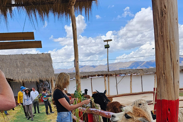 Cusco: Tour to the Alpaca and Llama Farm with weaving tour Cusco: Tour to the Alpaca and Llama Farm and weaving tour
