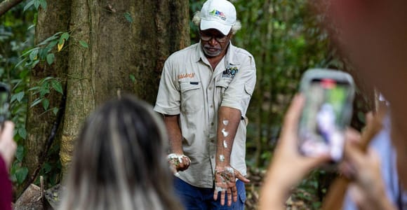Cairns: Daintree Rainforest & Mossman Gorge Tour