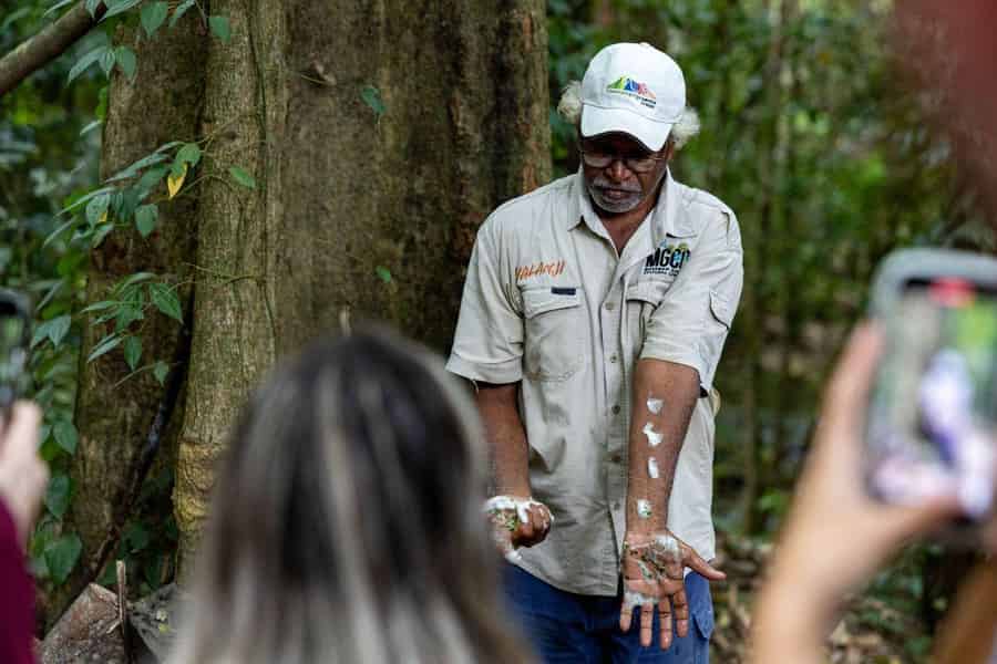Cairns: Daintree Rainforest und Mossman Gorge Tour. Foto: GetYourGuide