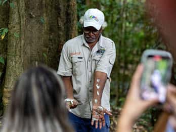 Cairns: Daintree Rainforest und Mossman Gorge Tour