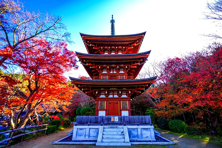Osaka/Kyoto: Private Nara Day Trip with Guide and Luxury Van