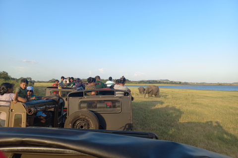 De Dambulla: Safári em jipe selvagem no Parque Nacional MinneriyaDe Dambulla: Safári de jipe selvagem no Parque Nacional Minneriya