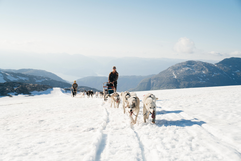 Tromsø: Aventura exclusiva en trineo tirado por perros