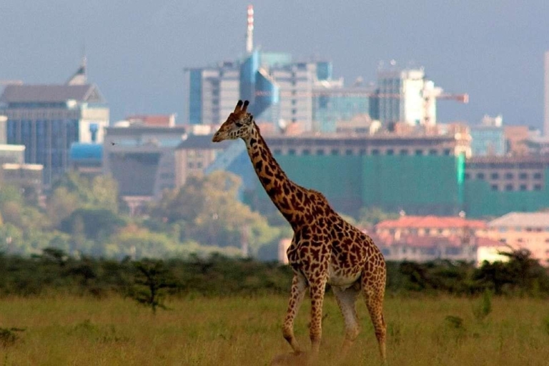 Wycieczka do Parku Narodowego Nairobi i Beads Center