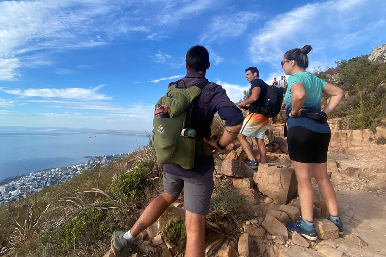 Kaapstad: must do Lion&#039;s Head wandeling