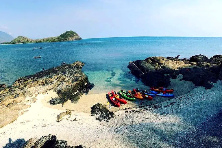 Palm Cove: Guided Half Day Turtle Kayak Tour