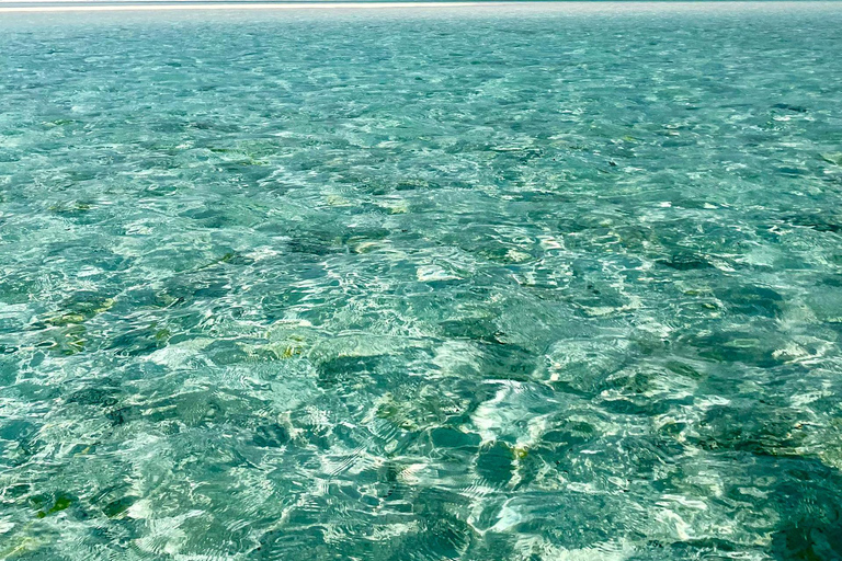 Zanzibar: Mnemba Blue Safari i spotkanie z delfinamiMnemba: delfiny i rafa – wycieczka grupowa