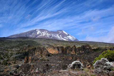 Escalada de 7 días al Kilimanjaro por la Ruta Lemosho