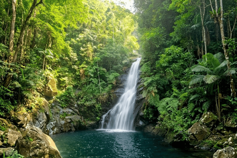 São Paulo: Waterfalls Hike, Beach View, & Chairlift Tour