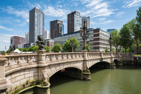 Private Day Trip: Rotterdam Architecture & Gouda Cheese Farm