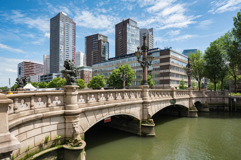 Private Day Trip: Rotterdam Architecture & Gouda Cheese Farm