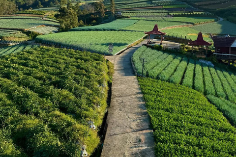Yogyakarta: Nepal Van Java & Vegetable Village Tour