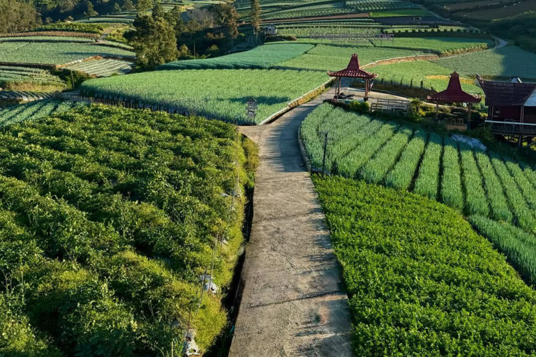 Yogyakarta: Nepal Van Java & Vegetable Village Tour