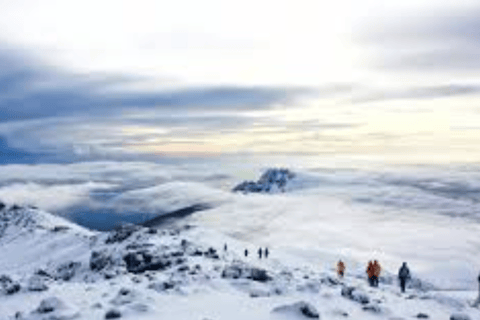 Best 8-Day Lemosho Route Kilimanjaro Budget Trek Tour