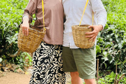 Ella: Tea-Making Experience, Tasting, Snacks with Tuk-Tuk