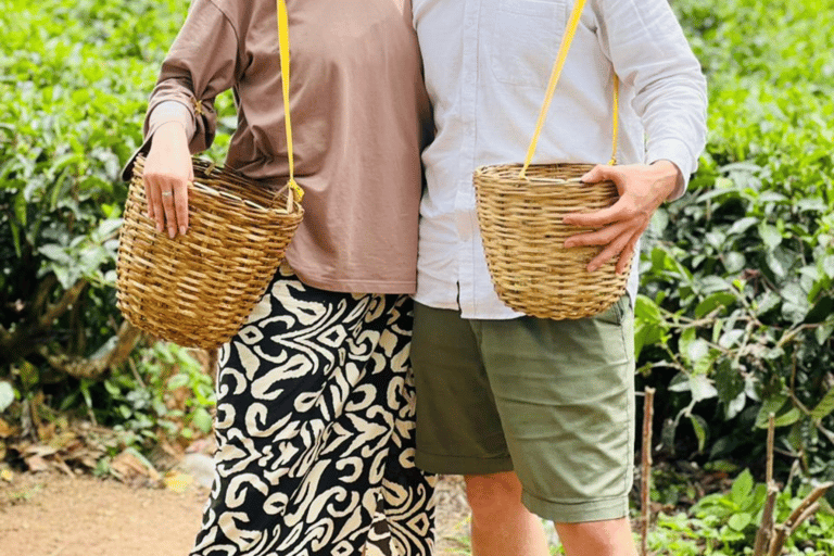 Ella: Tea-Making Experience, Tasting, Snacks with Tuk-Tuk