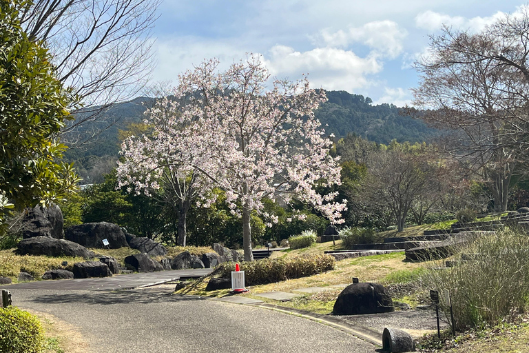 أسوكا: جولة إرشادية خاصة في عاصمة اليابان القديمةخدمة المرشدين فقط