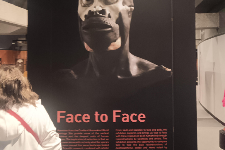 Johannesburg: Cradle Of Humankind & Fossil Discovery Tour